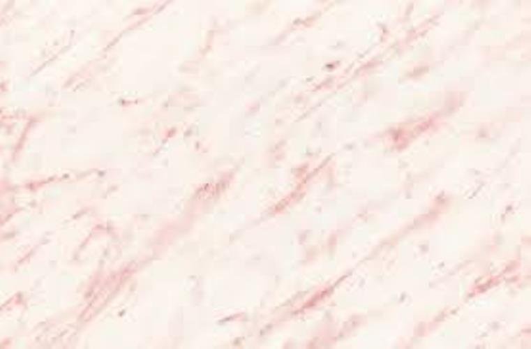 Carrara rose